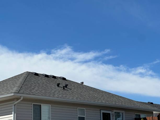 Best Asphalt Shingles Roofing  in Lyndon, KS